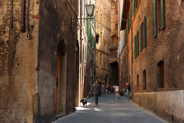 Wall Mural - Beautiful medieval narrow street in the spring, Siena, Italy. Historic centre of Siena has been declared by UNESCO a World Heritage Site.