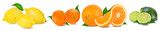 Fototapeta Panele - .Citrus Fruit Set (tangerine, orange, lime, lemon) isolated on white background.