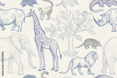 Obraz w ramie Seamless pattern with animals.