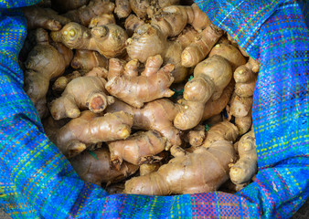 Fresh organic ginger in the market