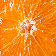 Juicy Pulp 1 Free Stock Photo - Public Domain Pictures
