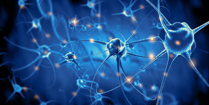 Active nerve cells