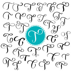 Wall Mural - Set letter T. Hand drawn vector flourish calligraphy. Script font. Isolated letters written with ink. Handwritten brush style. Hand lettering for logos packaging design poster