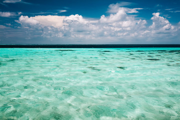 Wall Mural - Clear ocean water and a cloudy blue sky