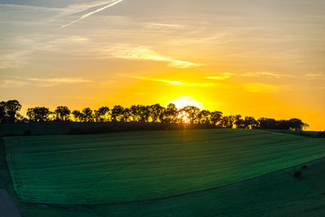 Wall Mural - Beautiful sunset