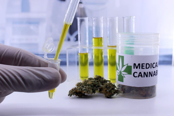 Testing cannabis buds for the extraction of medicinal oil