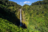 Fototapeta Mapy - Akaka Falls