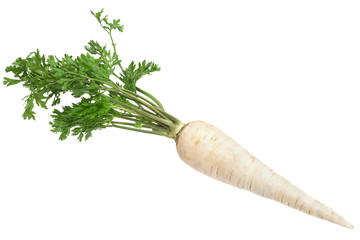 Wall Mural - Parsnip root with leaf