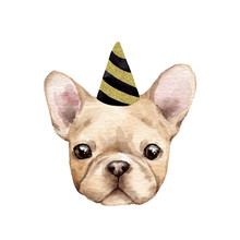 French Bulldog. Happy Birthday. Watercolor Illustration