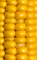 Canvas Print - yellow corn kernels in the cob as a background