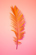 Summer - orange exotic leaf on pink, poster layout