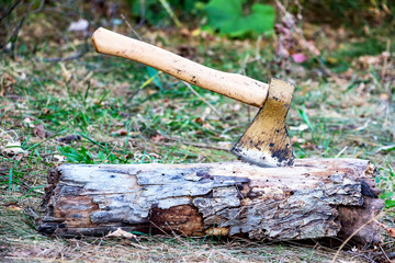 Ax in the trunk of a dry tree