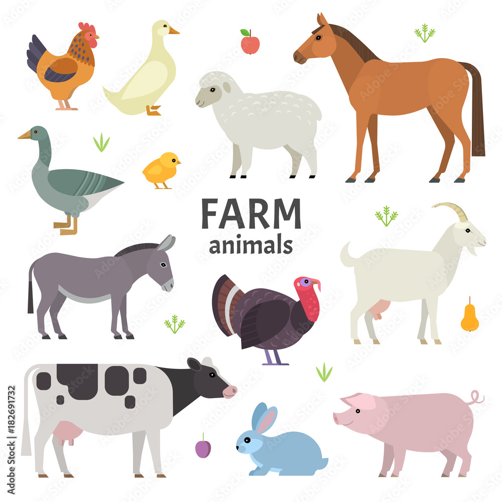 Vector collection of farm animals and birds in trendy flat style, including horse, cow, donkey, sheep, goat, pig, rabbit, duck, goose, turkey and chicken, isolated on white. - obrazy, fototapety, plakaty 