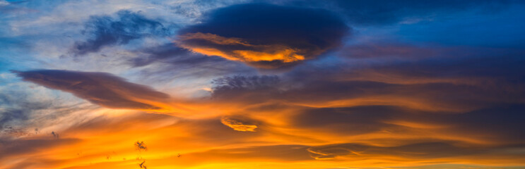 Wall Mural - spectacular, colorful sky during sunset, panorama, only clouds and sky