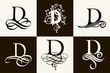 Vintage Set . Capital Letter D for Monograms and Logos. Beautiful Filigree Font. Victorian Style.