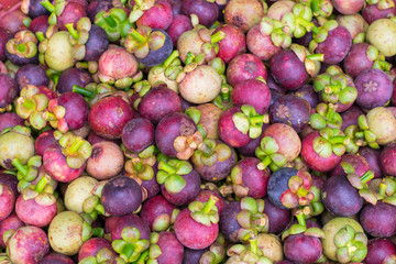 Wall Mural - Mangosteen waiting for transportation is in the basket