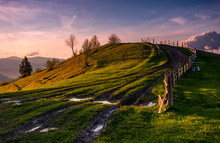 Wooden Fence Along The Country Dirt Road Uphill The Grassy Knoll In Springtime At Dusk. Spectacular Nature Scenery In Mountainous Rural Area With Gorgeous Pink Sky With Some Clouds