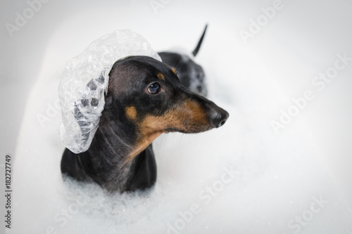 ready bath shower cap