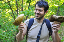 Portrait Of Man Holding Two Giant Porcini Mushrooms. Happy Man Picking Big Boletus Edulis Or Cap Mushrooms In Forest