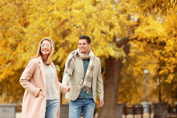 Sticker - Young couple walking in park on autumn day