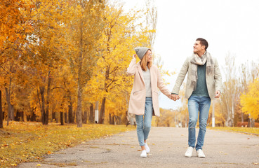 Sticker - Young couple walking in park on autumn day