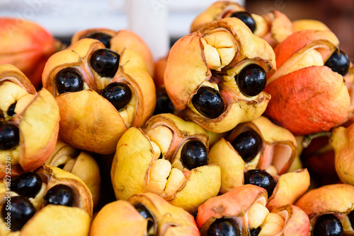 a pile of raw Jamaican ackees in their pods; Blighia Sapida Tableau sur Toile