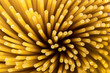Leinwandbild Motiv Spaghetti pasta macro