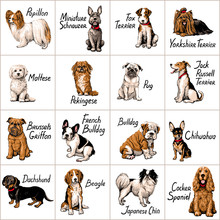 Set Of Dogs. Vector Illustration.