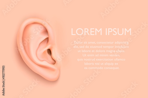Fotomural Vector background with realistic human ear closeup