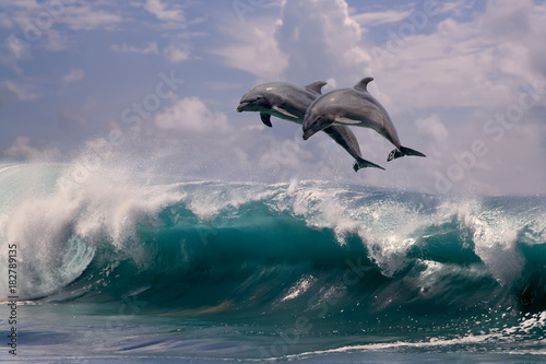 Naklejki delfiny  dwa-delfiny-skaczac-z-wody-morskiej-na-falach-oceanicznych