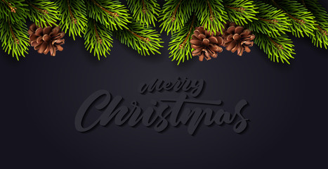 Wall Mural - Christmas decoration with fir branches and cones on dark background