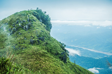 Wall Mural - Moutain beautiful view Doi pha tang number 102 in chiangrai tourist attraction in thailand