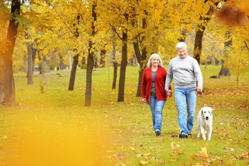 Wall Mural - Mature couple walking their dog in park