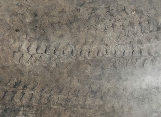 Canvas Print - tire track of forklift on cement floor