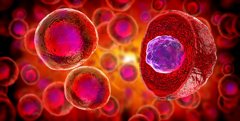 Wall Mural - embryonic stem cells , cellular therapy , regeneration , disease treatment