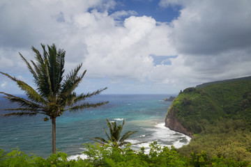 Poster - Blick am Pololu Valley auf die Nordküste von Big Island, Hawaii, USA.