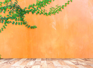 Wall Mural - Wooden board the orange wall green ivy plant.