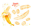 Watercolor illustration of bananas