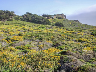 Sticker - idyllic coastal scenery in California