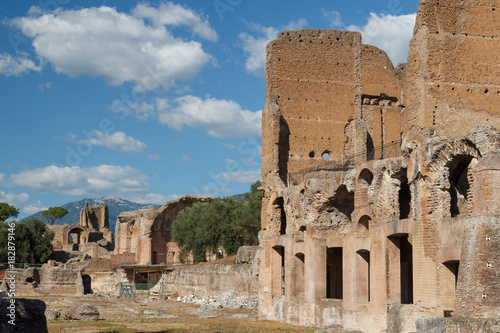 Ruins of the ancient complex of Hadrian Villa, Tivoli, Italy Poster