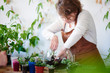 Botany. Woman florist grows house plants and flowers. Make a mini terrarium