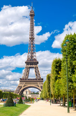 Wall Mural - The Eiffel Tower on a sunny summer day in Paris