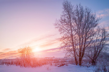 Beautiful winter sunset landscape