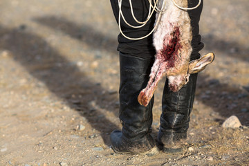 Hunter holding a hunting trophy dead bloody rabbit..