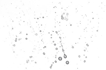 Aufkleber - abstract black splashes on white watercolor paper. monochrome image.