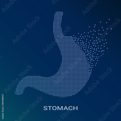 Abstract Vector Illustration Of Human Stomach On Blue