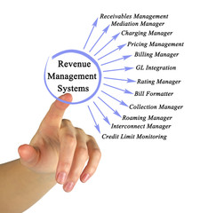 Wall Mural - Revenue Management Systems