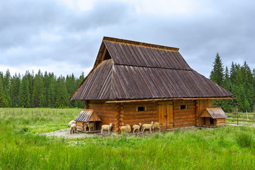 Beautiful scenery of Tatra mountains with wooden hut in Poland