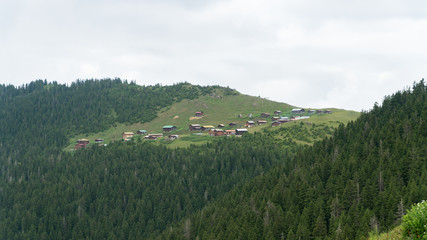 Panoramic view of Sal plateau in Black Sea, Rize, Turkey