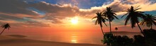 Beautiful Sea Sunset On The Beach With Palm Trees
